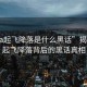 “spa起飛降落是什么黑話”揭秘SPA起飛降落背后的黑話真相