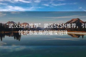 “武漢szsn推薦”武漢SZSN推薦，引領(lǐng)城市發(fā)展的璀璨明珠