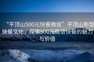 “平頂山500元快餐微信”平頂山新型快餐文化，探索500元微信快餐的魅力與價(jià)值