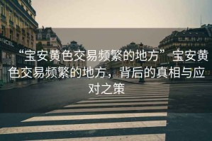 “寶安黃色交易頻繁的地方”寶安黃色交易頻繁的地方，背后的真相與應(yīng)對之策