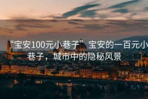 “寶安100元小巷子”寶安的一百元小巷子，城市中的隱秘風(fēng)景