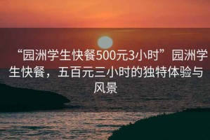 “園洲學(xué)生快餐500元3小時”園洲學(xué)生快餐，五百元三小時的獨特體驗與風(fēng)景