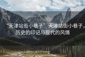“天津站街小巷子”天津站街小巷子，歷史的印記與現代的風情