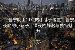 “普寧晚上11點的小巷子位置”普寧夜晚的小巷子，深夜的靜謐與獨特魅力