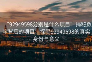 “92949598分別是什么項(xiàng)目”揭秘?cái)?shù)字背后的項(xiàng)目，探尋92949598的真實(shí)身份與意義