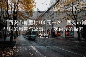 “西安市肖里村100元一次”西安市肖里村的風(fēng)景與故事，一次百元的探索之旅