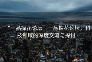 “一品探花論壇”一品探花論壇，科技領(lǐng)域的深度交流與探討