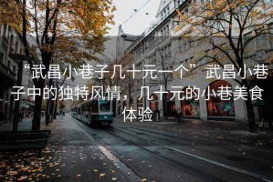 “武昌小巷子幾十元一個(gè)”武昌小巷子中的獨(dú)特風(fēng)情，幾十元的小巷美食體驗(yàn)