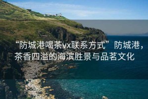 “防城港喝茶vx聯(lián)系方式”防城港，茶香四溢的海濱勝景與品茗文化