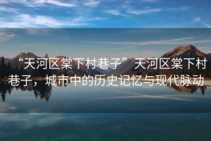 “天河區(qū)棠下村巷子”天河區(qū)棠下村巷子，城市中的歷史記憶與現(xiàn)代脈動(dòng)
