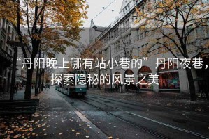 “丹陽晚上哪有站小巷的”丹陽夜巷，探索隱秘的風(fēng)景之美