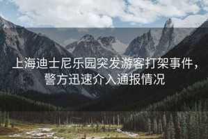 上海迪士尼樂園突發(fā)游客打架事件，警方迅速介入通報情況