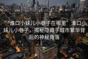 “淮口小妹兒小巷子在哪里”淮口小妹兒小巷子，揭秘隱藏于城市繁華背后的神秘角落