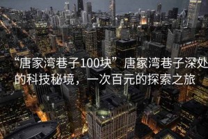 “唐家灣巷子100塊”唐家灣巷子深處的科技秘境，一次百元的探索之旅