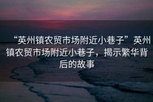 “英州鎮(zhèn)農(nóng)貿(mào)市場附近小巷子”英州鎮(zhèn)農(nóng)貿(mào)市場附近小巷子，揭示繁華背后的故事