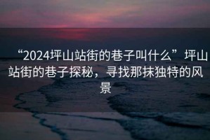 “2024坪山站街的巷子叫什么”坪山站街的巷子探秘，尋找那抹獨特的風(fēng)景