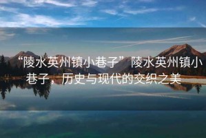 “陵水英州鎮(zhèn)小巷子”陵水英州鎮(zhèn)小巷子，歷史與現(xiàn)代的交織之美