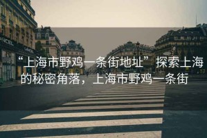 “上海市野雞一條街地址”探索上海的秘密角落，上海市野雞一條街