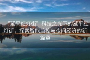 “延平紅燈街”科技之光下的延平紅燈街，探索智能監(jiān)控與夜間經(jīng)濟的新篇章