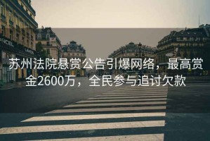 蘇州法院懸賞公告引爆網(wǎng)絡(luò)，最高賞金2600萬，全民參與追討欠款