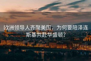 歐洲領(lǐng)導(dǎo)人齊聚美國(guó)，為何要陪澤連斯基共赴華盛頓？
