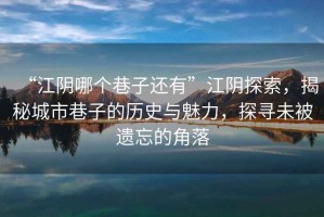 “江陰哪個(gè)巷子還有”江陰探索，揭秘城市巷子的歷史與魅力，探尋未被遺忘的角落