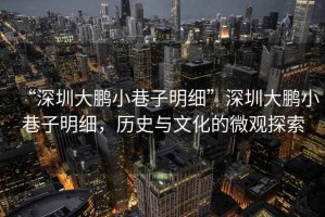 “深圳大鵬小巷子明細”深圳大鵬小巷子明細，歷史與文化的微觀探索