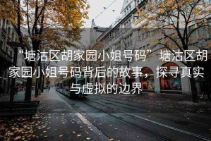 “塘沽區(qū)胡家園小姐號(hào)碼”塘沽區(qū)胡家園小姐號(hào)碼背后的故事，探尋真實(shí)與虛擬的邊界