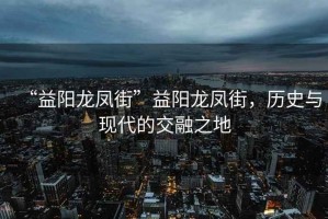“益陽龍鳳街”益陽龍鳳街，歷史與現(xiàn)代的交融之地