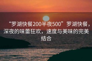 “羅湖快餐200半夜500”羅湖快餐，深夜的味蕾狂歡，速度與美味的完美結(jié)合