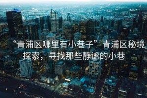 “青浦區(qū)哪里有小巷子”青浦區(qū)秘境探索，尋找那些靜謐的小巷