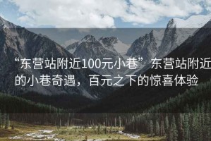 “東營站附近100元小巷”東營站附近的小巷奇遇，百元之下的驚喜體驗(yàn)