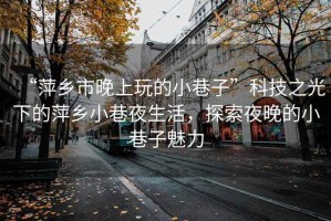 “萍鄉(xiāng)市晚上玩的小巷子”科技之光下的萍鄉(xiāng)小巷夜生活，探索夜晚的小巷子魅力