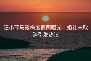 汪小菲馬筱梅度假照曝光，婚禮未取消引發(fā)熱議