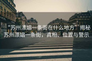 “蘇州漂娼一條街在什么地方”揭秘蘇州漂娼一條街，真相、位置與警示