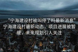 “寧海建設(shè)村被叫停了嗎最新消息”寧海建設(shè)村最新動態(tài)，項目進展被暫緩，未來規(guī)劃引人關(guān)注