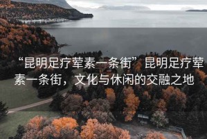 “昆明足療葷素一條街”昆明足療葷素一條街，文化與休閑的交融之地