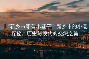 “新鄉(xiāng)市哪有小巷子”新鄉(xiāng)市的小巷探秘，歷史與現(xiàn)代的交織之美