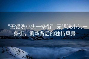 “無錫洗小頭一條街”無錫洗小頭一條街，繁華背后的獨特風(fēng)景