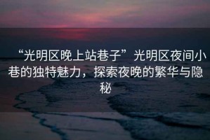 “光明區(qū)晚上站巷子”光明區(qū)夜間小巷的獨特魅力，探索夜晚的繁華與隱秘