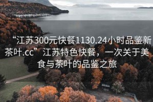 “江蘇300元快餐1130.24小時(shí)品鑒新茶葉.cc”江蘇特色快餐，一次關(guān)于美食與茶葉的品鑒之旅