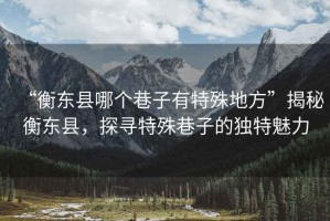 “衡東縣哪個巷子有特殊地方”揭秘衡東縣，探尋特殊巷子的獨特魅力