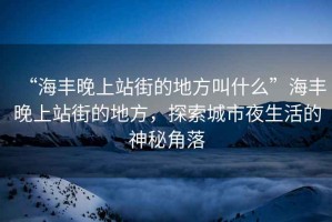 “海豐晚上站街的地方叫什么”海豐晚上站街的地方，探索城市夜生活的神秘角落