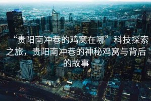 “貴陽南沖巷的雞窩在哪”科技探索之旅，貴陽南沖巷的神秘雞窩與背后的故事