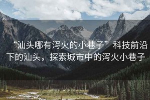 “汕頭哪有瀉火的小巷子”科技前沿下的汕頭，探索城市中的瀉火小巷子