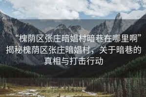 “槐蔭區(qū)張莊暗娼村暗巷在哪里啊”揭秘槐蔭區(qū)張莊暗娼村，關(guān)于暗巷的真相與打擊行動