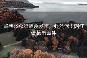墨西哥總統(tǒng)緊急發(fā)聲，強烈譴責(zé)網(wǎng)紅遭槍擊事件