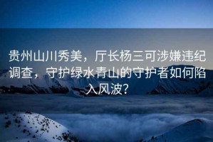 貴州山川秀美，廳長楊三可涉嫌違紀調(diào)查，守護綠水青山的守護者如何陷入風波？
