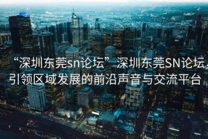 “深圳東莞sn論壇”深圳東莞SN論壇，引領(lǐng)區(qū)域發(fā)展的前沿聲音與交流平臺