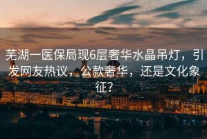 蕪湖一醫(yī)保局現(xiàn)6層奢華水晶吊燈，引發(fā)網(wǎng)友熱議，公款奢華，還是文化象征？